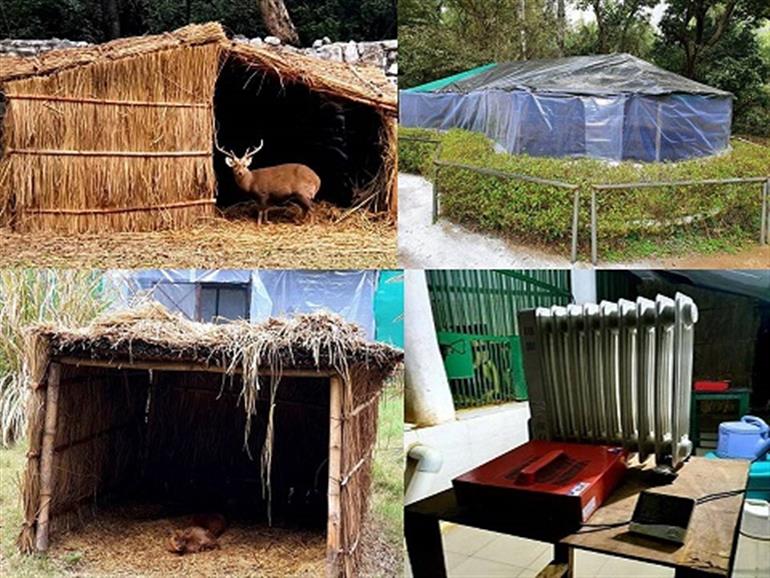 Forest & Wildlife Preservation Department puts in place special arrangements at Chhatbir Zoo for protecting animals from winter