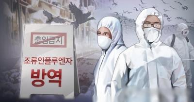 S. Korea confirms highly pathogenic bird flu case