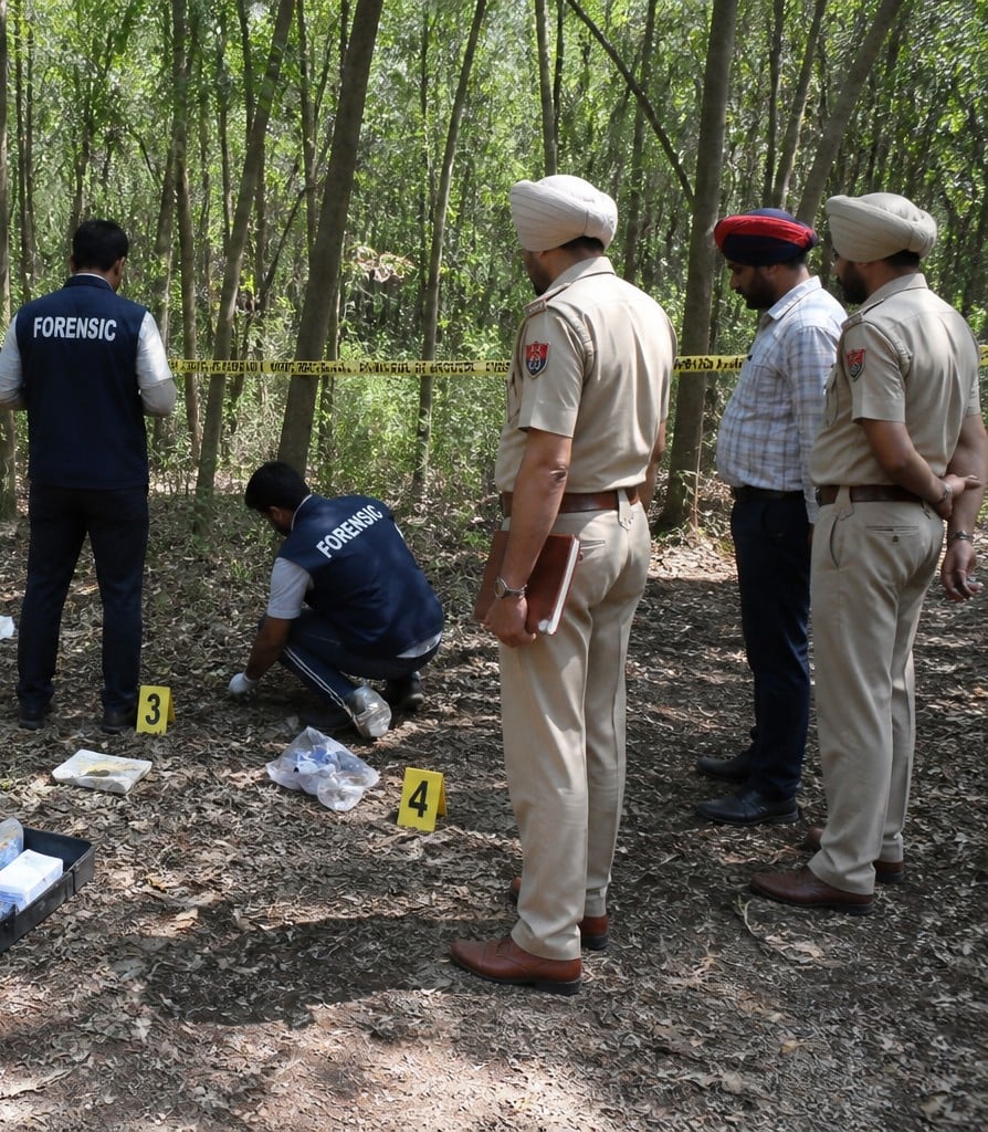 Municipal Employee Found Dead in Forest Area of Chandigarh, Investigation Underway