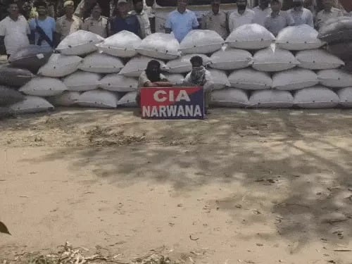 Inter-State Drug Smuggling Racket Busted in Jind; 8 Quintals of Doda Post Seized, Two Arrested