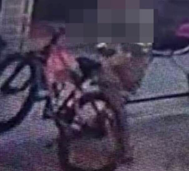 Bicycle-Borne Intruder Targets Women in Chandigarh PGs