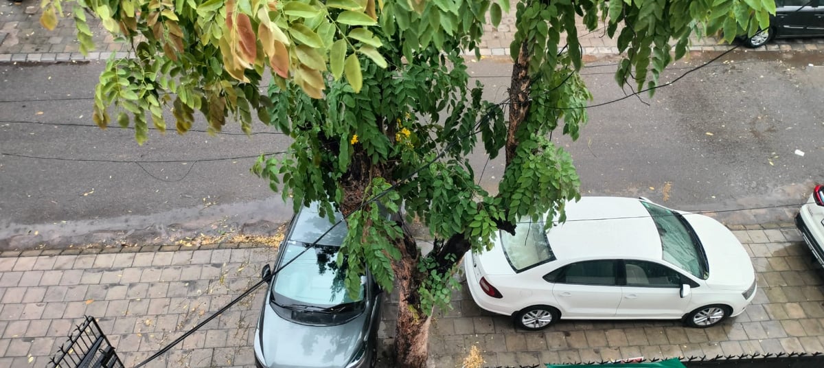 Rain and Hailstorm Bring Relief from Heat Across Punjab and Chandigarh