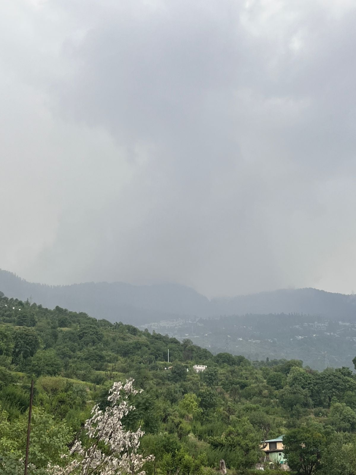 Heavy Rain and Hail Lash Shimla and Parts of Himachal Pradesh