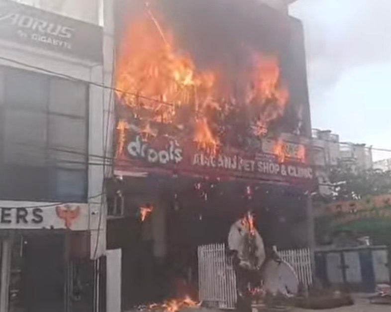 Lucknow Gaming Zone Fire: 15 Students Killed, CM Yogi Adityanath Visits Site