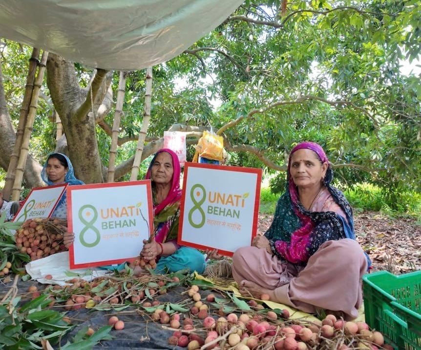 Punjab’s Fresh Litchis Reach Oman, Opening Gulf Market