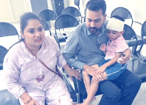 Stray Dog Attack in Jalandhar Leaves Mother and Nursery Student Injured