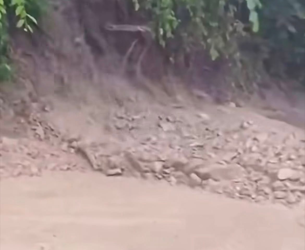 Himachal monsoon havoc: 145 roads closed as torrential rain disrupts life across state