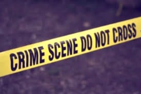 Patiala woman beaten with baseball bat, shot dead; auto driver seriously injured