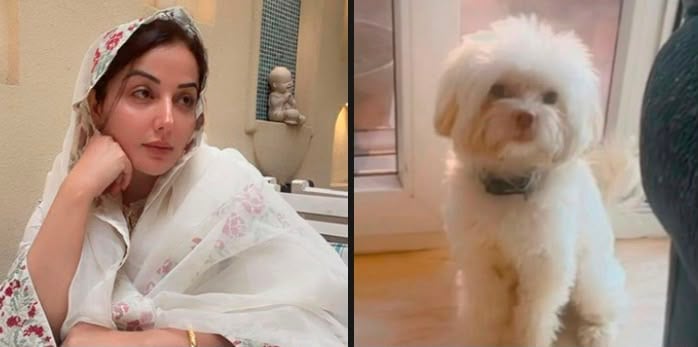 Sonia Mann’s pet dog dies in stray dog attack, AAP leader urges Mann government to act