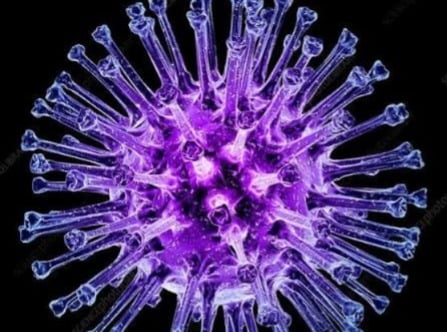 Delhi reports 1,777 H1N1 cases; Flu cases rise during monsoon