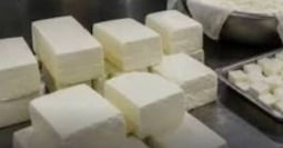 Non-dairy analog Paneer sale bans in Punjab for one year