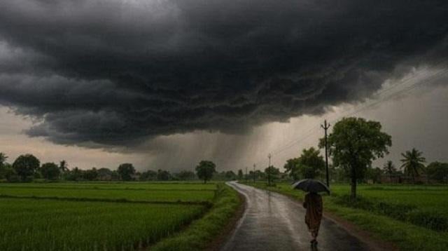 Punjab likely to receive light showers; relief from humid weather expected