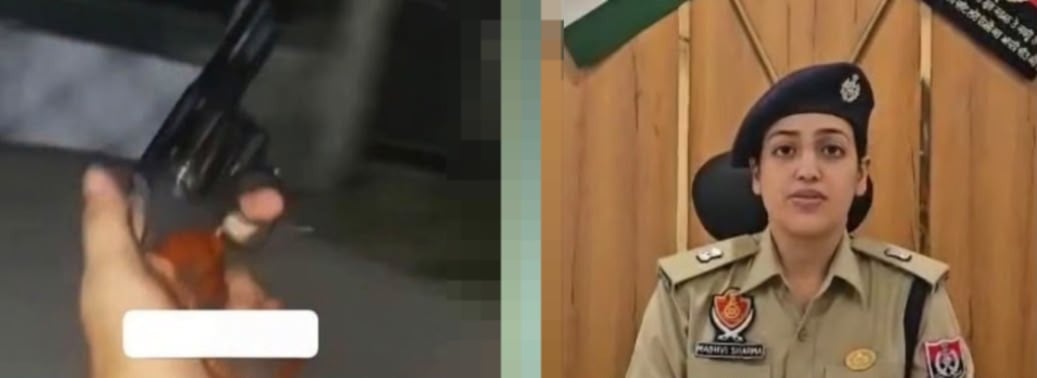 Drunk youths open fire in air from moving car in Jalandhar, two held after video goes viral